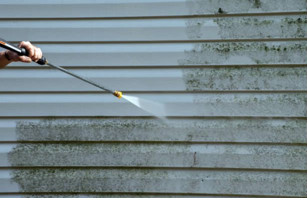 Best Commercial Mold Removal  in Russell, KY