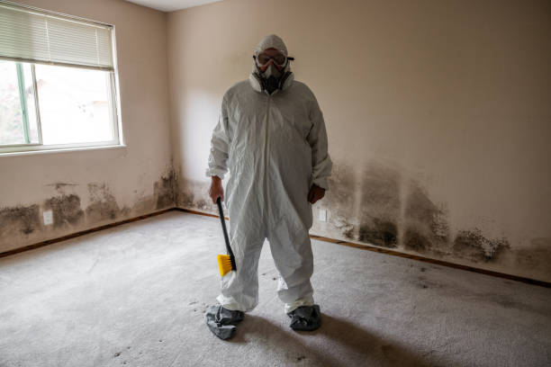 Best Crawl Space Mold Removal  in Russell, KY